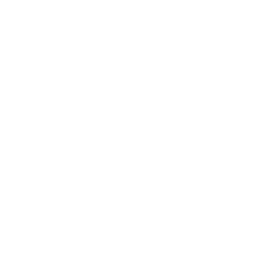 Ecommerce SEO