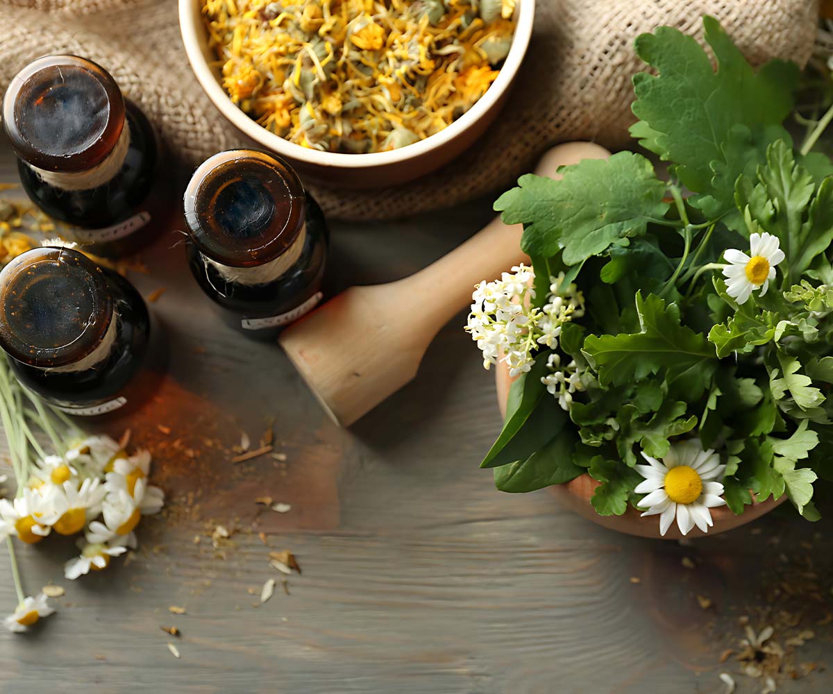 SEO for naturopathy website SEO for naturopathy website
