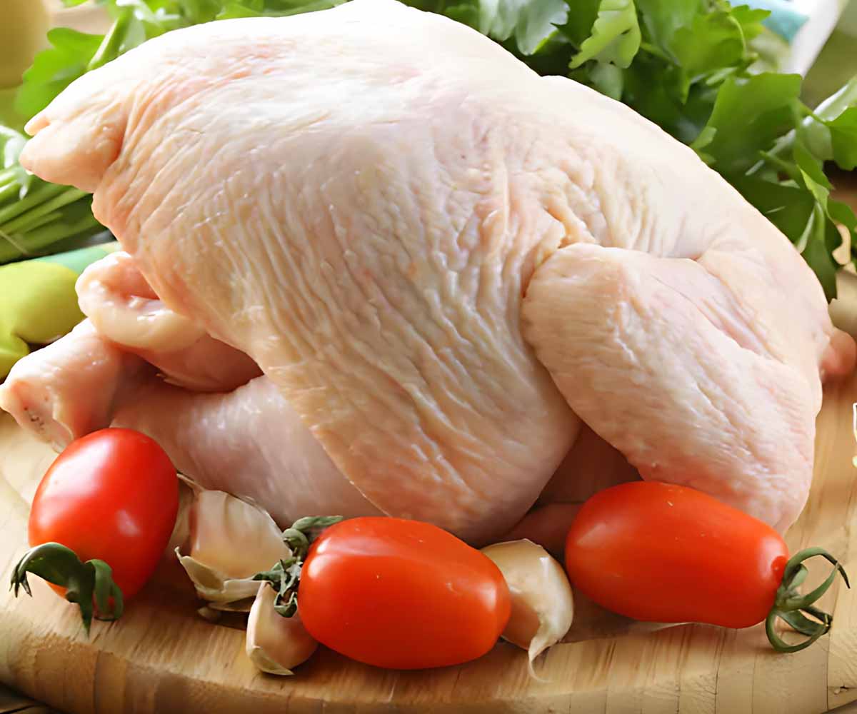 Website Designing Company for Poultry Company in Dubai Website Designing Company for Poultry Company in Dubai