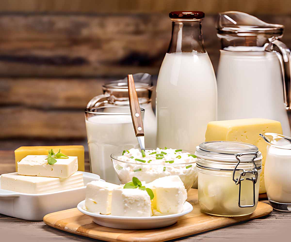 Website Designing Company for Dairy Products in Dubai