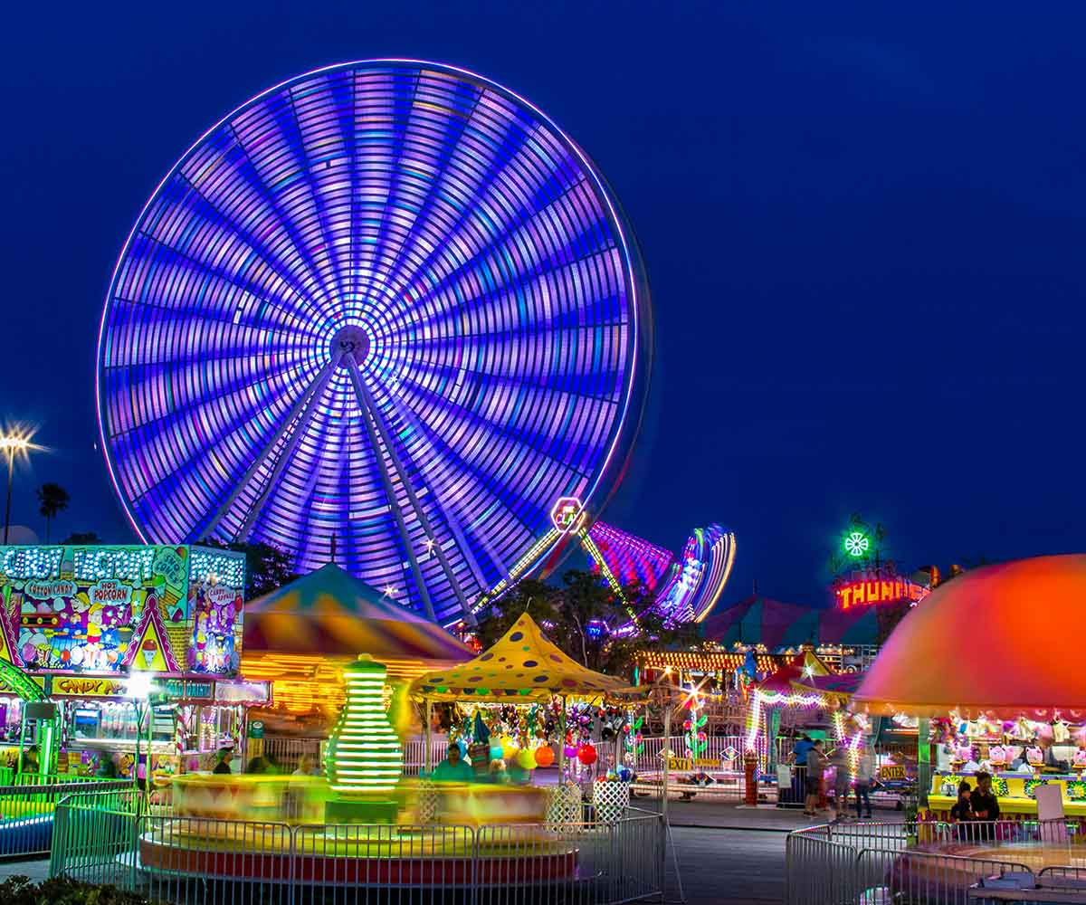 SEO for theme park website SEO for theme park website