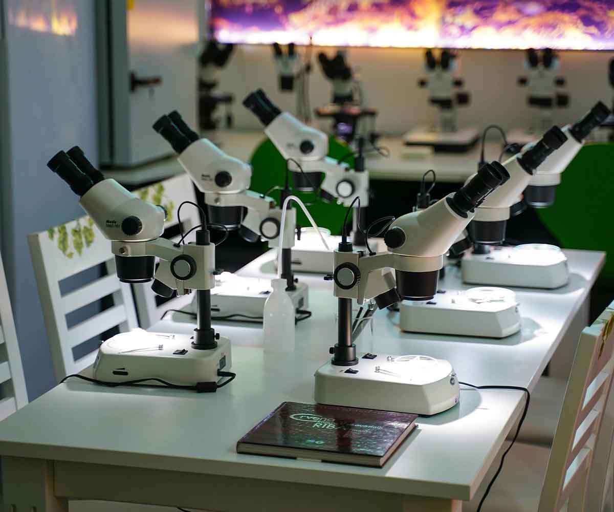SEO for lab furniture and equipment website SEO for lab furniture and equipment website