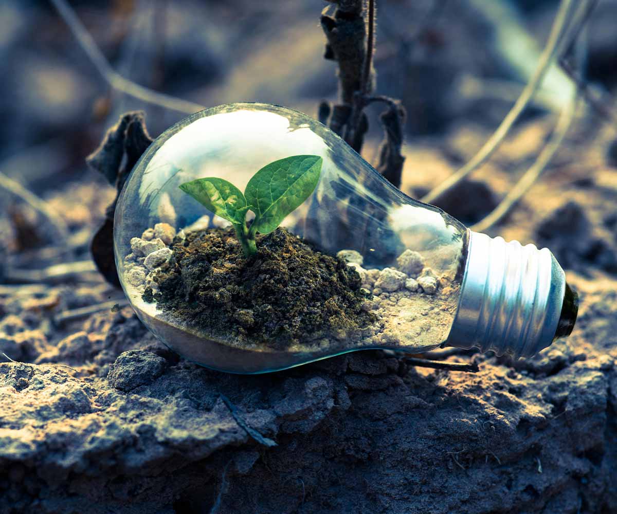 SEO for eco friendly products website SEO for eco friendly products website