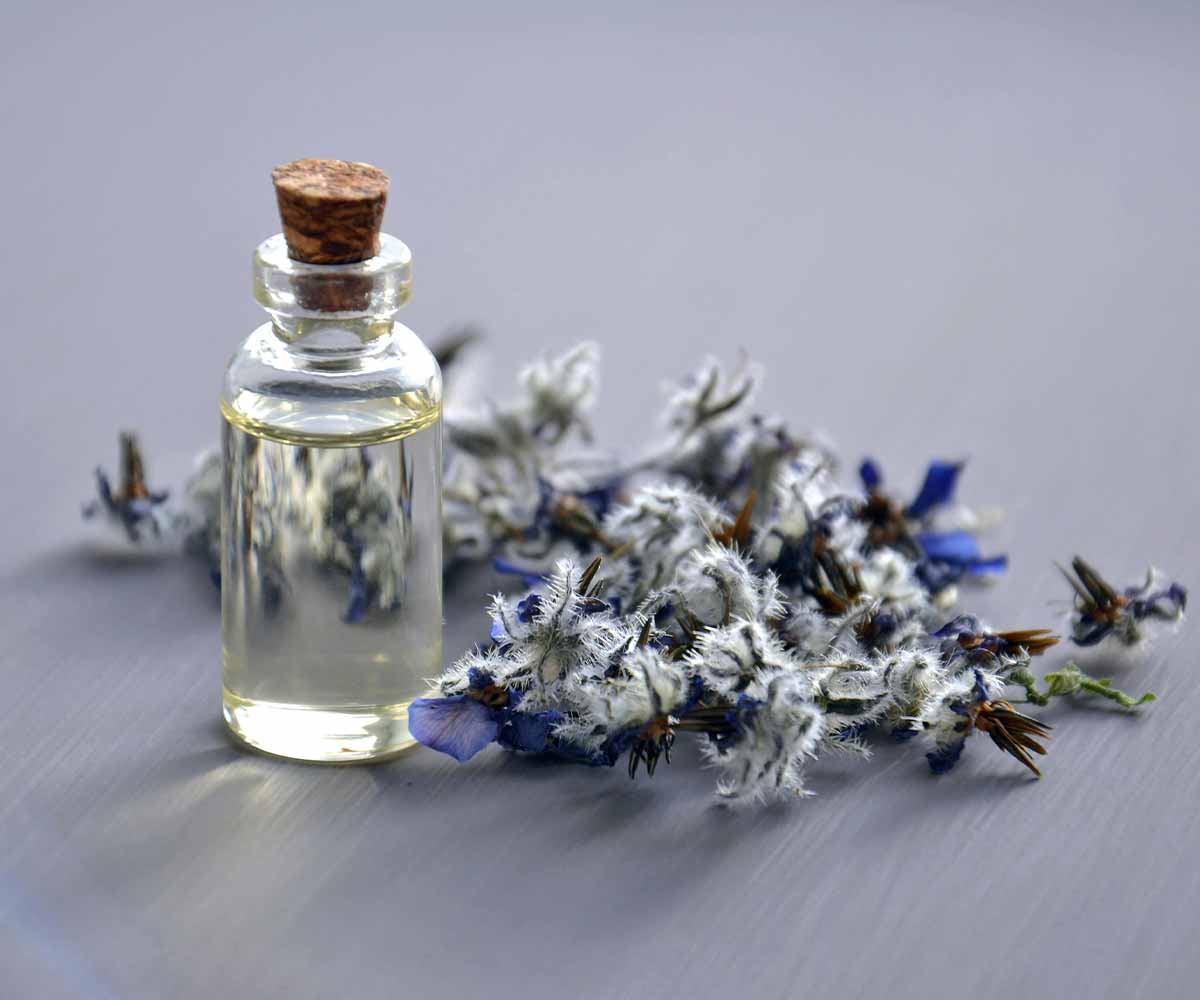 Website Designing Company for Perfume Company in Dubai