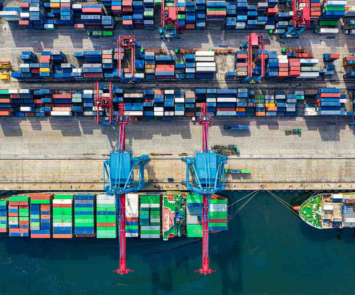Website Designing Company for Supply Chain Management in Dubai