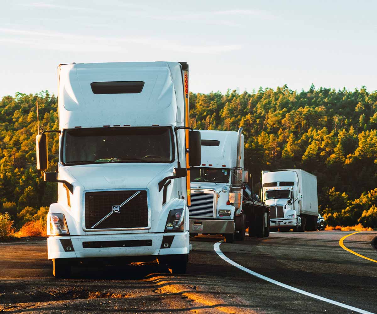 Website Designing Company for Transport Company in Dubai