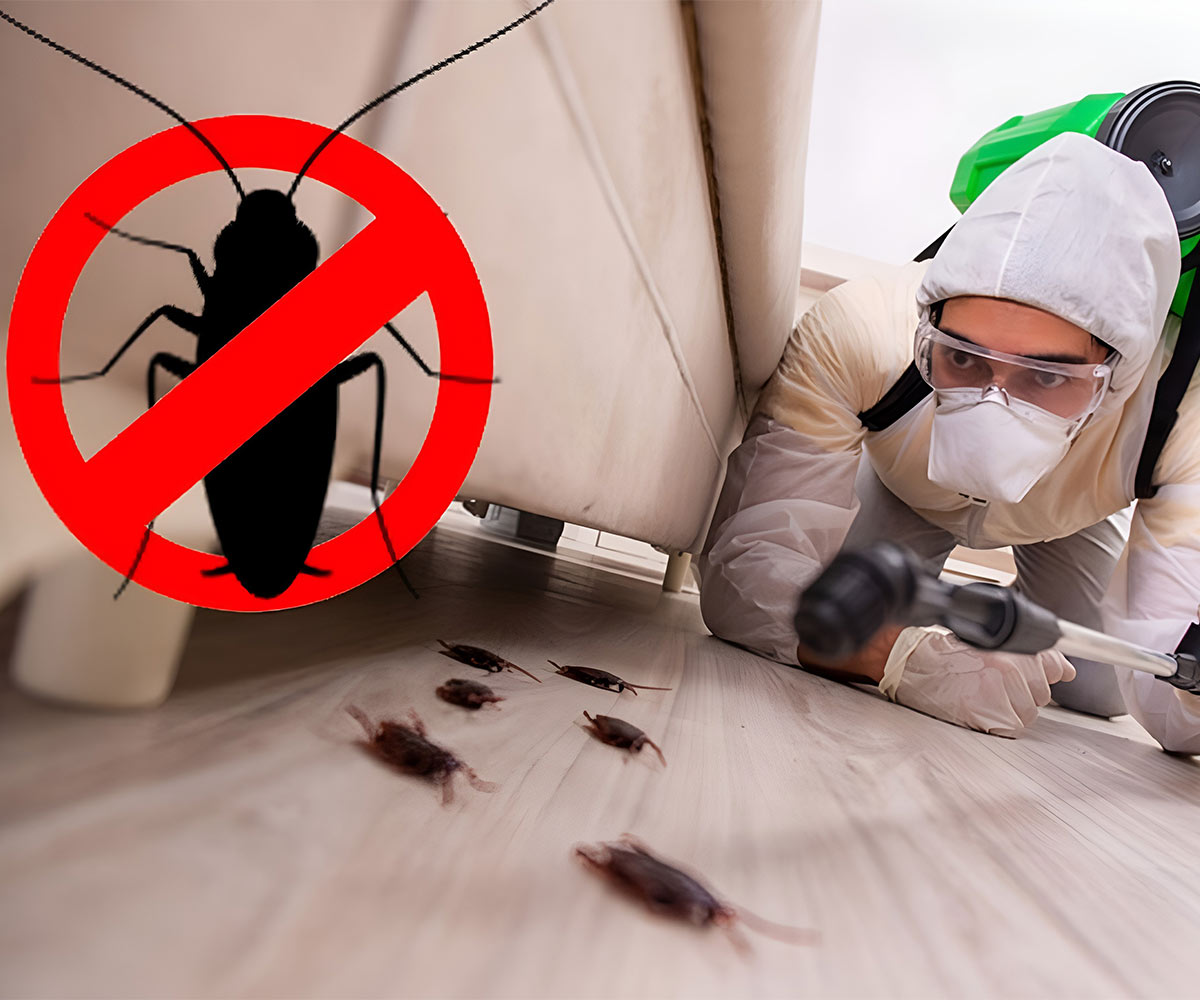 SEO for pest control company website